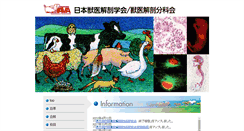 Desktop Screenshot of jpn-ava.com