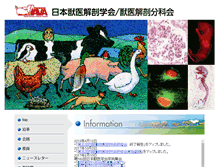 Tablet Screenshot of jpn-ava.com